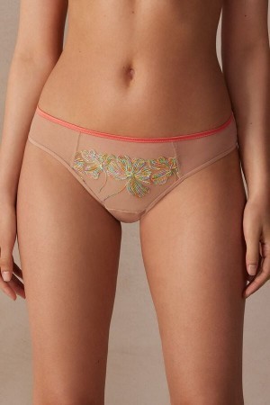 Multicolor Intimissimi Candy Colors Panties | FCAHY30772