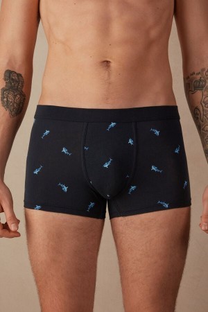 Blue Intimissimi Shark Boxers in Natural Fresh Supima® Cotton | DCAVO78576