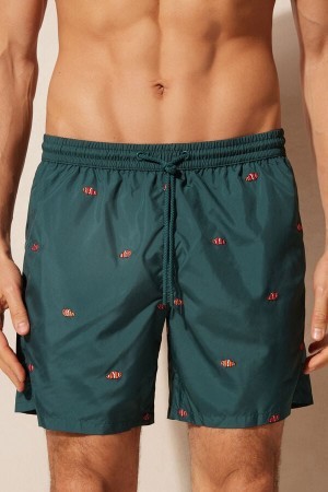 Green Intimissimi Embroidered Clownfish Swim Trunks | TCAPQ99921