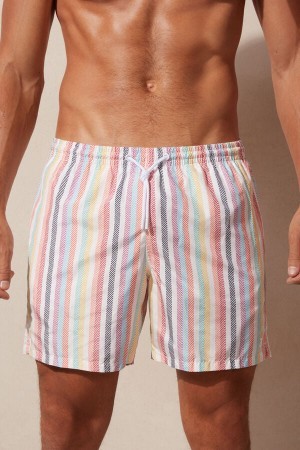 Multicolor Intimissimi Multicolor Stripe Print Swim Trunks | ZCAMJ14035