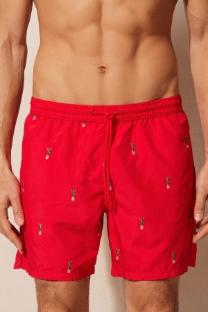 Print Intimissimi Embroidered Cactus Swim Trunks | SCAVO35547