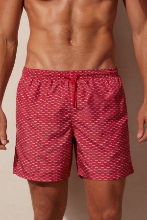 Print Intimissimi Micro Shark Print Swim Trunks | TCAPQ99828