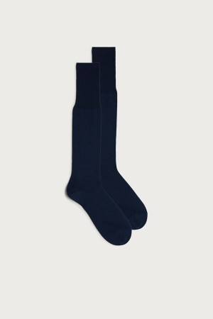 Blue Intimissimi Tall Sateen Egyptian Cotton Socks | CADYB40680