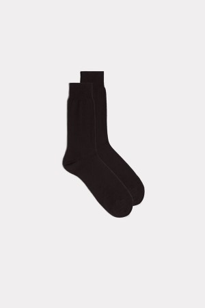 Brown Intimissimi Short Sateen Egyptian Cotton Socks | CAZDE89749