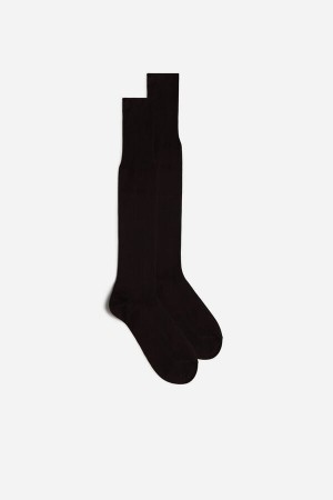 Brown Intimissimi Tall Sateen Egyptian Cotton Socks | CAIIZ27653