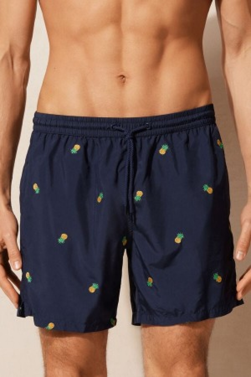 Blue Intimissimi Embroidered Pineapple Swim Trunks | ZCANQ66853