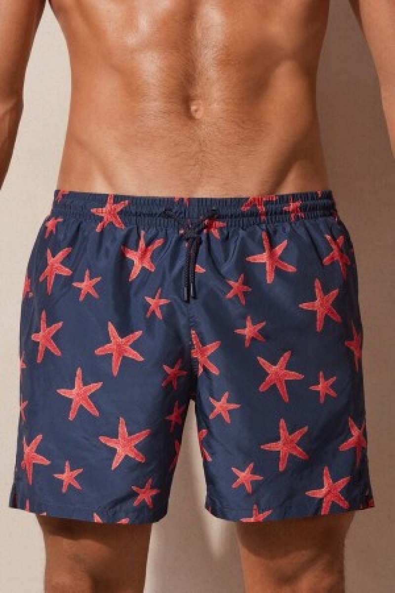 Blue Intimissimi Starfish Print Swim Trunks | ECAVG57401