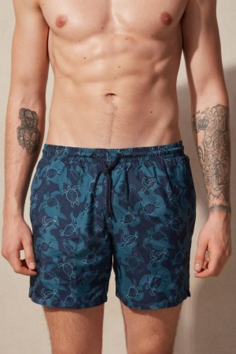 Blue Intimissimi Turtle Print Swim Trunks | ACAWC97176