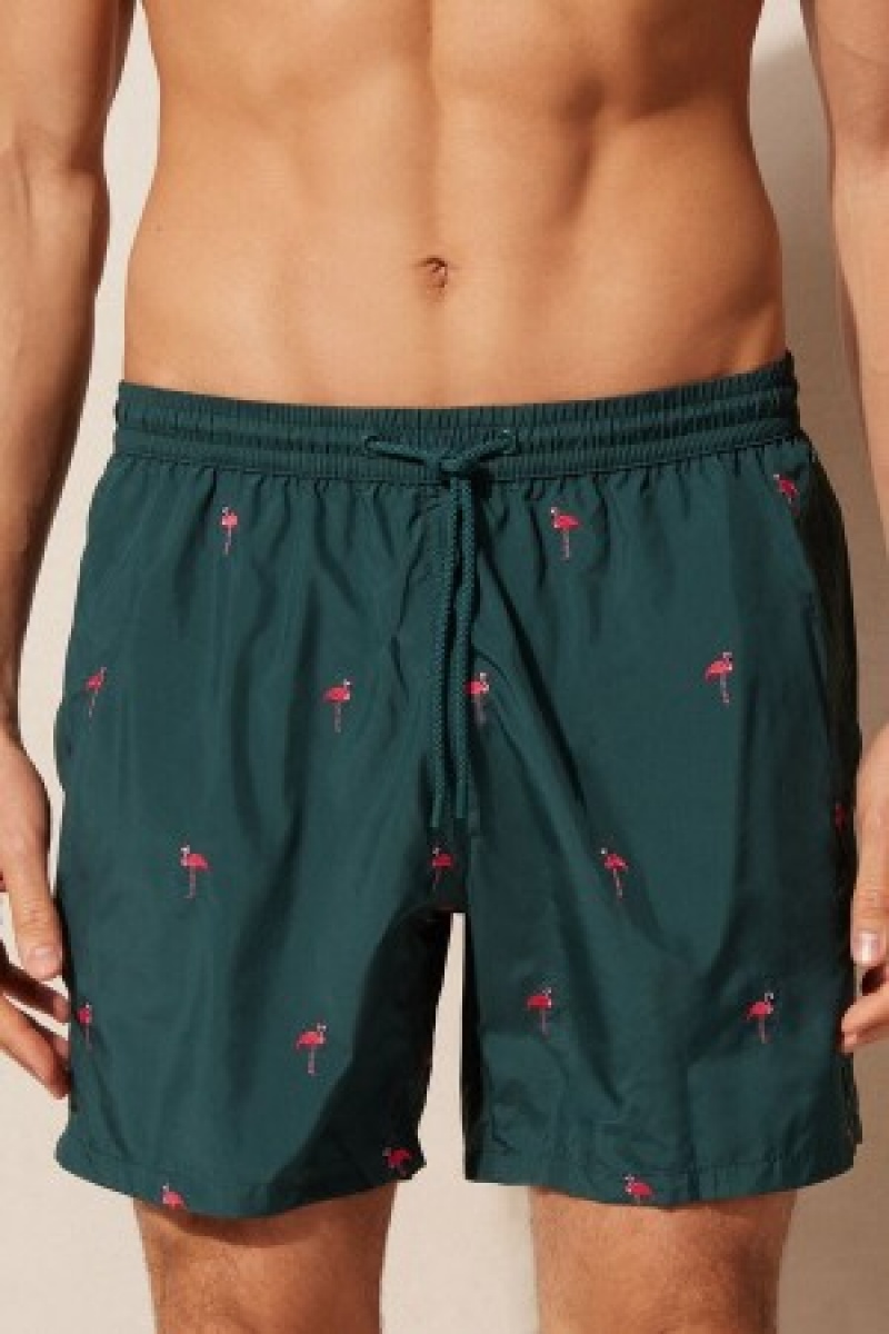 Green Intimissimi Embroidered Flamingo Swim Trunks | SCAVO40649