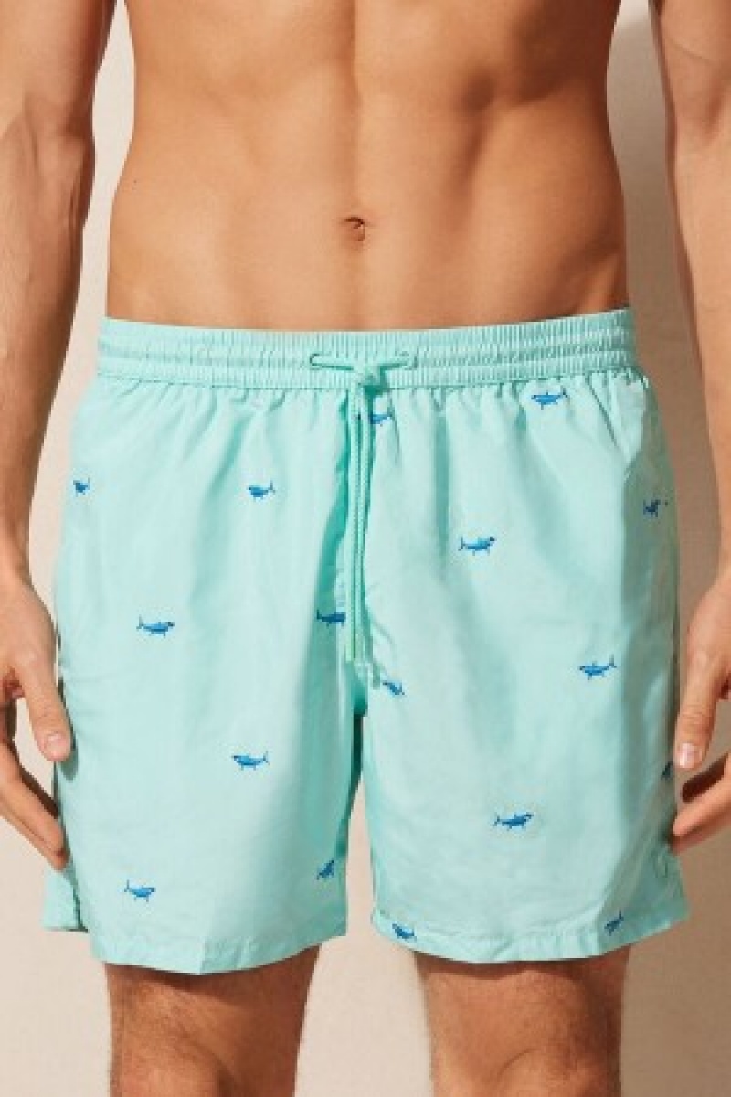 Print Intimissimi Embroidered Shark Swim Trunks | UCAND67031